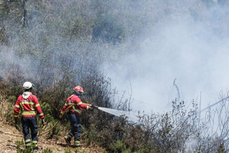 INCÊNDIOS: DOMINADO FOGO NO CONCELHO DE AVIS