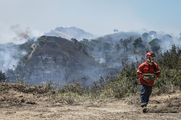 INCÊNDIOS: TRINTA CONCELHOS DE CINCO DISTRITOS DO CONTINENTE EM RISCO MÁXIMO
