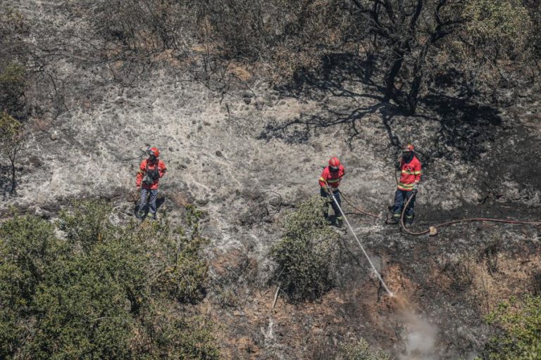 MEIOS DE COMBATE AO FOGO EM VIALONGA REFORÇADOS PARA PROTEGER HABITAÇÕES