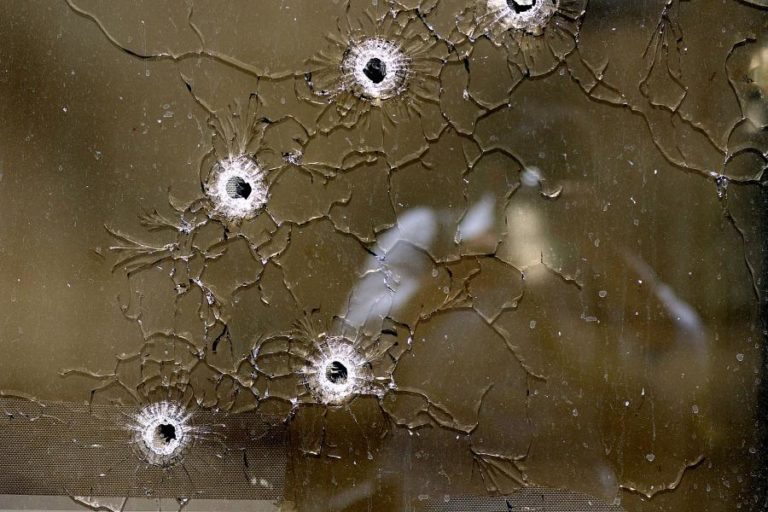 MOÇAMBIQUE/ATAQUES: AUTORIDADES JÁ ABATERAM MAIS DE 500 INSURGENTES – POLÍCIA