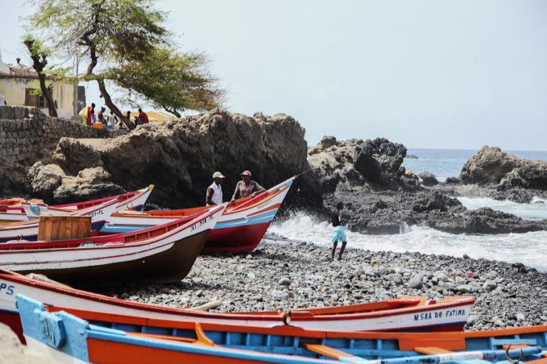 PORTO MOSQUITO LUTA CONTRA A COVID-19 EM CABO VERDE E QUER MAIS PEIXES