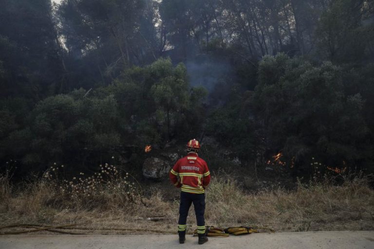INCÊNDIOS: FOGO EM ABRANTES ENTRA EM FASE DE RESOLUÇÃO