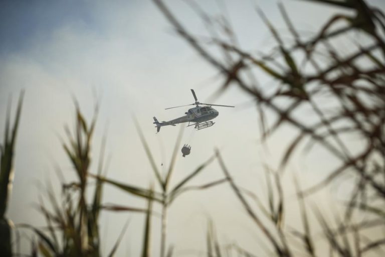 INCÊNDIOS: RISCO MÁXIMO EM SEIS DISTRITOS DO INTERIOR NORTE