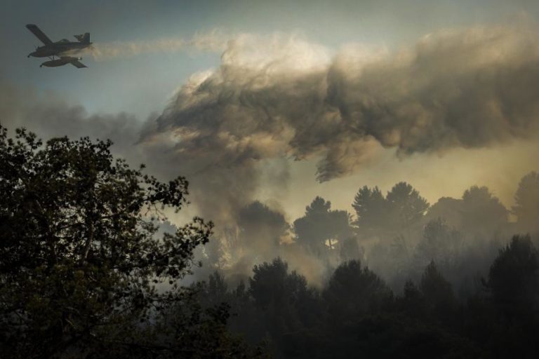 INCÊNDIOS: RISCO MÁXIMO EM CERCA DE 40 CONCELHOS DO INTERIOR NORTE, CENTRO E ALGARVE