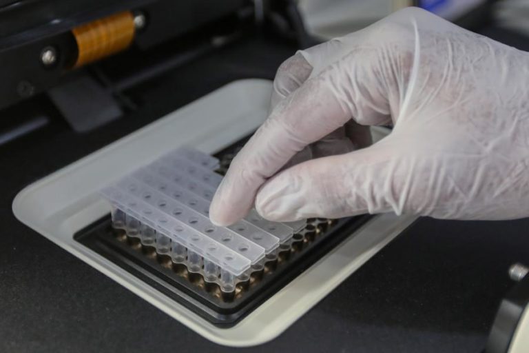 COVID-19: PRIMEIROS 21 UTENTES CURADOS NO LAR DE REGUENGOS DE MONSARAZ