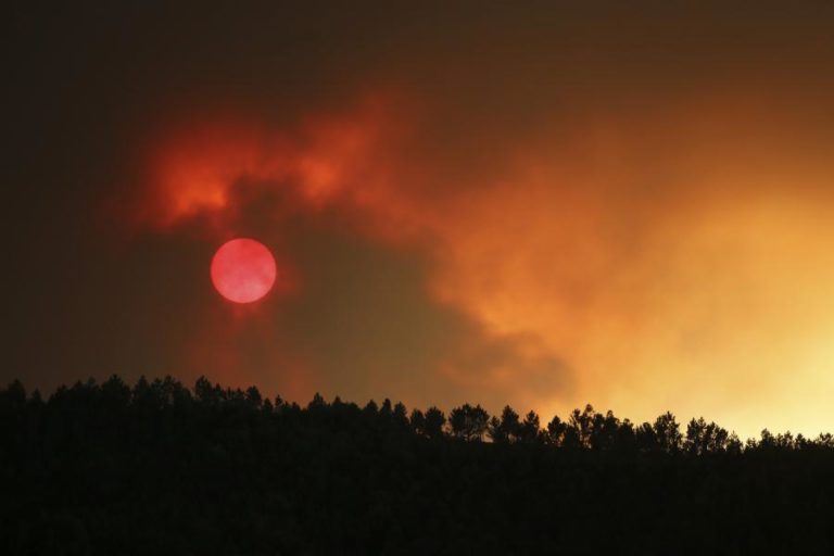 INCÊNDIOS: RISCO MÁXIMO EM CERCA DE 50 CONCELHOS DO INTERIOR NORTE, CENTRO E ALGARVE