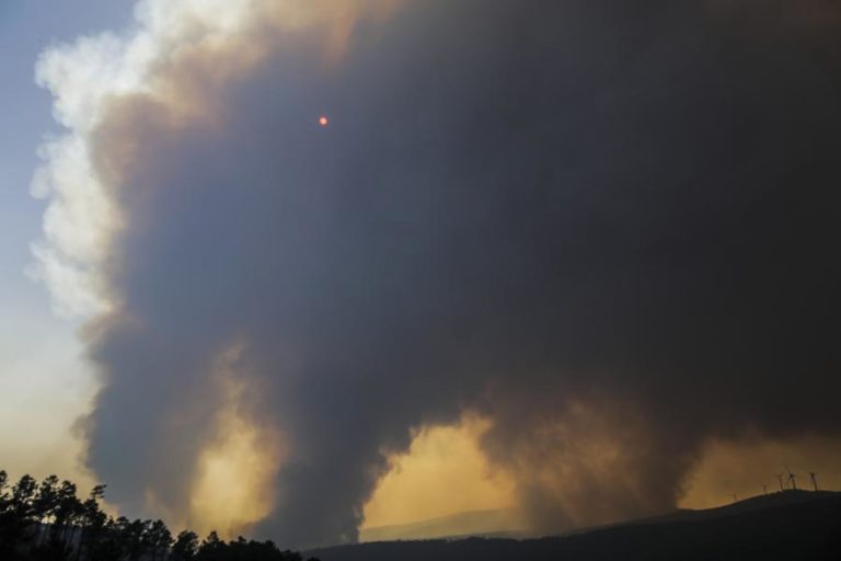 INCÊNDIOS: PRIMEIRO BALANÇO APONTA PARA SEIS MIL HECTARES ARDIDOS NO FOGO DE OLEIROS