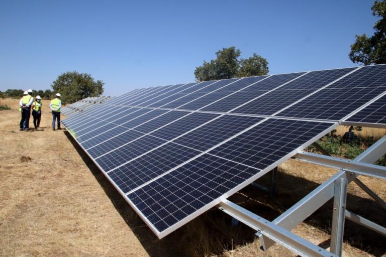CENTRAL FOTOVOLTAICA EM MOGADOURO ESTIMULA EMPREGO EM TEMPOS DE CRISE PANDÉMICA