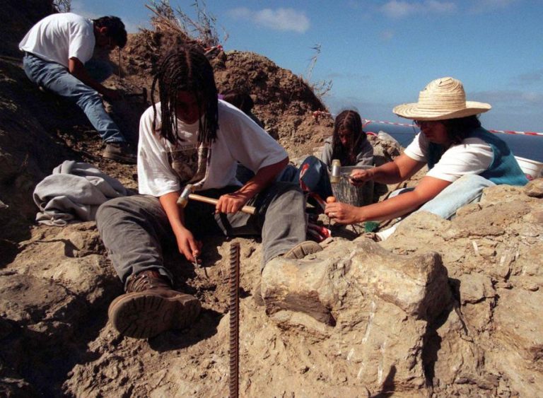 DESCOBERTA NOVA ESPÉCIE DE DINOSSAURO CARNÍVORO NA REGIÃO OESTE