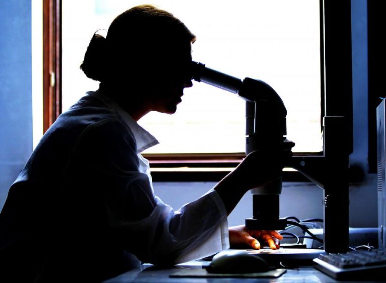 CIENTISTAS DETETAM MICROPLÁSTICOS EM TECIDOS HUMANOS