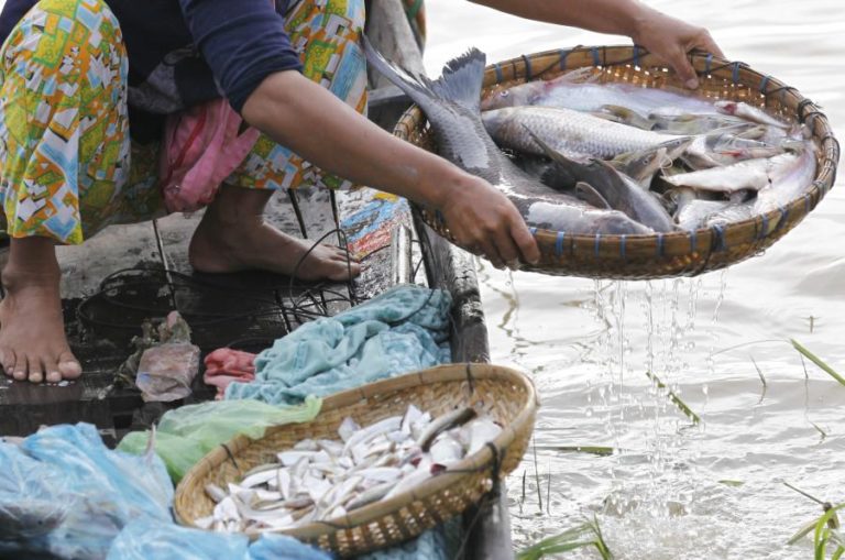 GUINÉ-BISSAU QUER REVER ACORDO E VALORES PAGOS PELA UNIÃO EUROPEIA