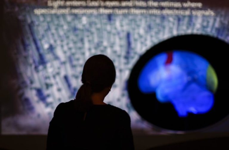 CIENTISTAS IDENTIFICAM CIRCUITOS CEREBRAIS ENVOLVIDOS NA MANIA APÓS UMA LESÃO