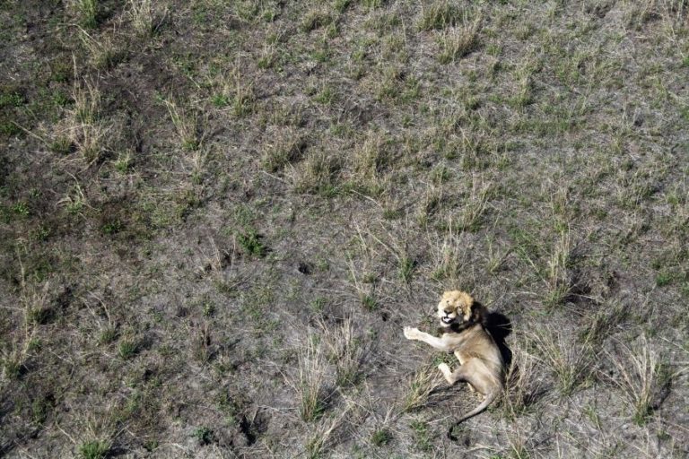 ADMINISTRADOR DO PARQUE NACIONAL DA GORONGOSA EM MOÇAMBIQUE DISTINGUIDO COM PRÉMIO KENTON R. MILLER 2020