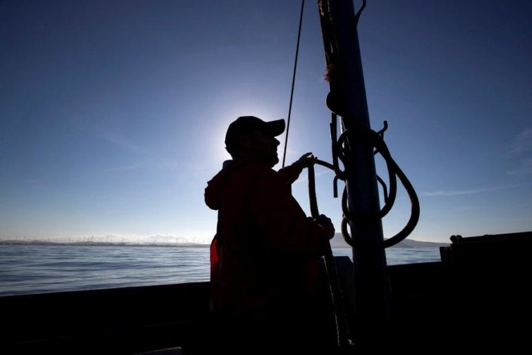 FEDERAÇÃO DOS AÇORES PEDE GESTÃO DA PESCA DO ATUM PATUDO E VOADOR PARA AS REGIÕES