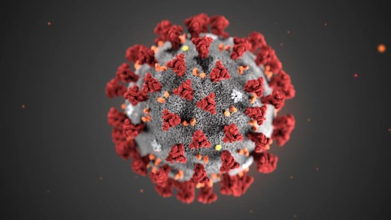 COVID-19: UTAD ULTIMA DISPOSITIVO PORTÁTIL QUE PERMITIRÁ DETEÇÃO RÁPIDA