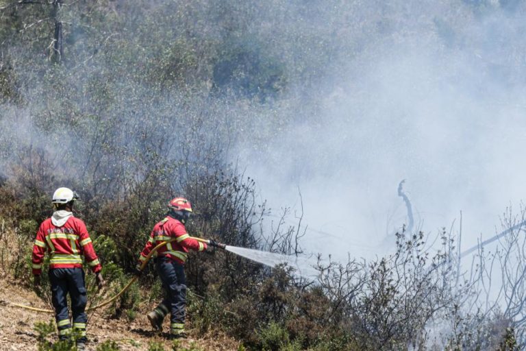 INCÊNDIOS: VINTE E QUATRO CONCELHOS DO PAÍS EM RISCO MÁXIMO