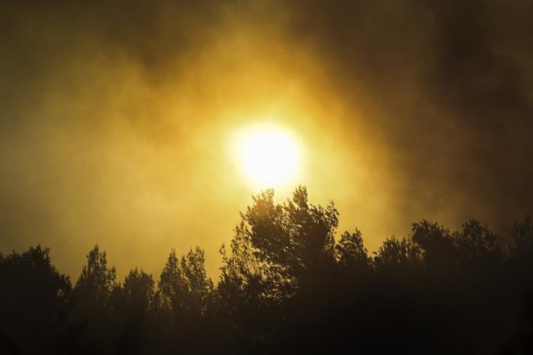 INCÊNDIOS: DOMINADO FOGO EM AROUCA