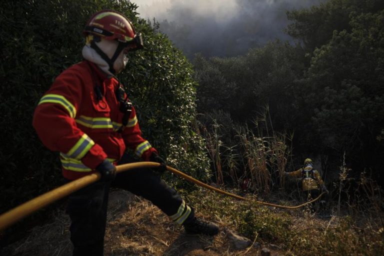 INCÊNDIOS: CINCO CONCELHOS DO DISTRITO DE FARO EM RISCO MÁXIMO