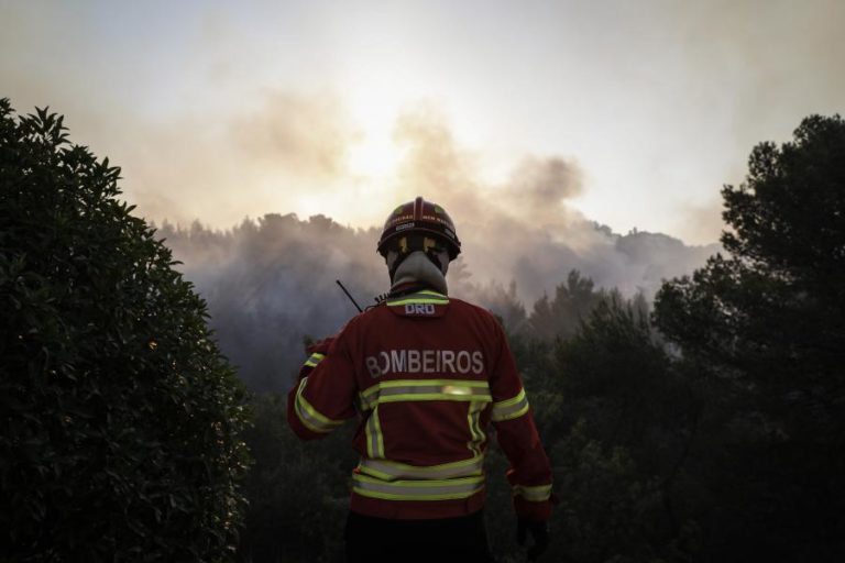 INCÊNDIOS: MAIS DE 30 CONCELHOS DE CINCO DISTRITOS EM RISCO MÁXIMO