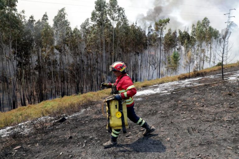 INCÊNDIOS: TRÊS CONCELHOS DOS DISTRITOS DA GUARDA E FARO EM RISCO MÁXIMO