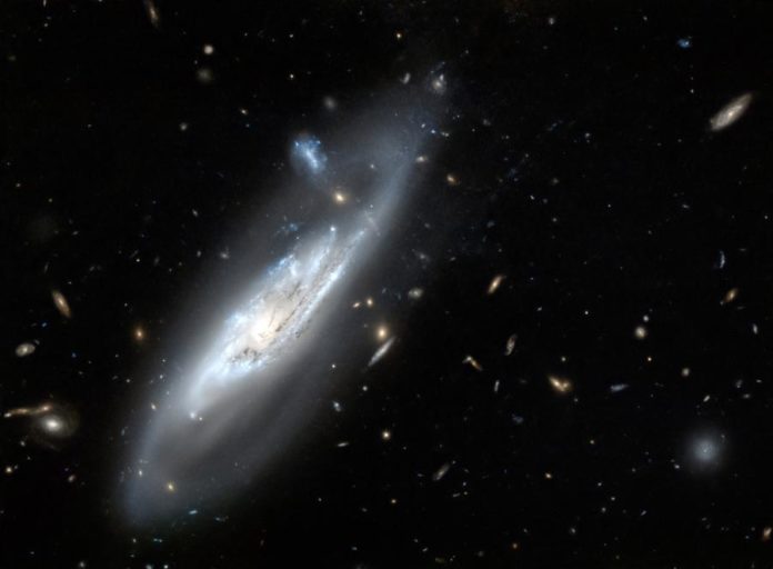 29235068.jpg