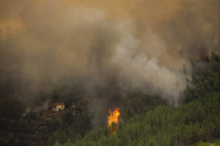 INCÊNDIOS: CERCA DE 40 CONCELHOS DE SEIS DISTRITOS EM RISCO MÁXIMO