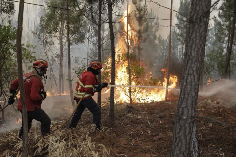 INCÊNDIOS: ONZE CONCELHOS DE QUATRO DISTRITOS EM RISCO MÁXIMO