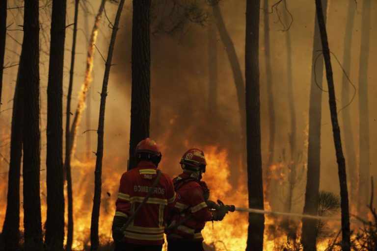 INCÊNDIO NA COVILHÃ PASSOU PARA O FUNDÃO MAS COMBATE DECORRE “FAVORAVELMENTE” – CODIS