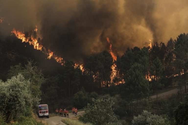 INTERIOR NORTE E CENTRO E ALGUNS CONCELHOS DO ALGARVE EM RISCO MÁXIMO DE INCÊNDIO