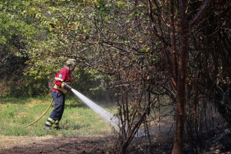 FOGO EM PORTO DE MÓS EM FASE DE RESOLUÇÃO — PROTEÇÃO CIVIL