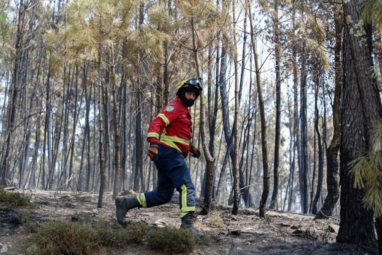 INCÊNDIOS: FOGOS NA SERTÃ E OURÉM CONCENTRAM 350 OPERACIONAIS E 11 MEIOS AÉREOS