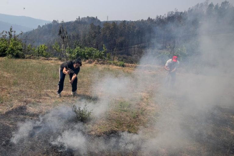 SETE DISTRITOS DO INTERIOR EM AVISO AMARELO ATÉ ÀS 21:00 POR CAUSA DO CALOR