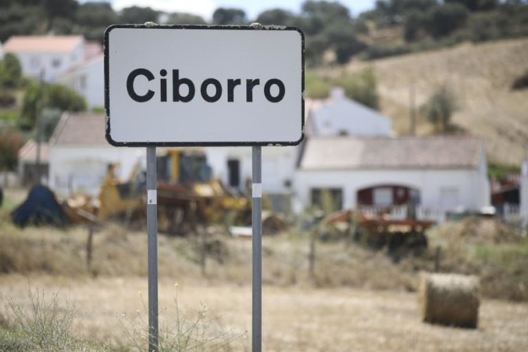 COVID-19: SURTO DE MONTEMOR-O-NOVO SOBE PARA 33 CASOS ATIVOS APÓS NOVO TESTE POSITIVO