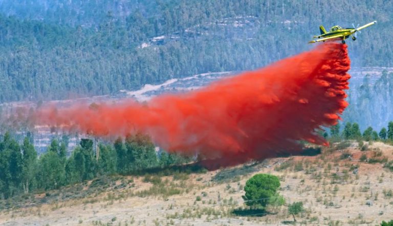 AUTORIDADES ESPANHOLAS ENTRAM NO QUINTO DIA DE COMBATE AO INCÊNDIO DE HUELVA