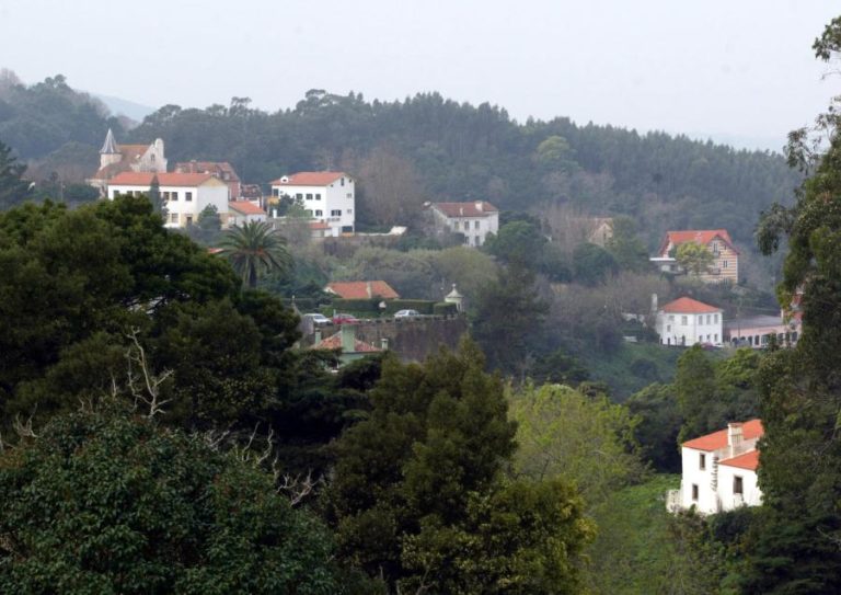 TRÂNSITO CONTINUA CONDICIONADO NA SERRA DE SINTRA ATÉ TERÇA-FEIRA DEVIDO AO RISCO DE INCÊNDIO