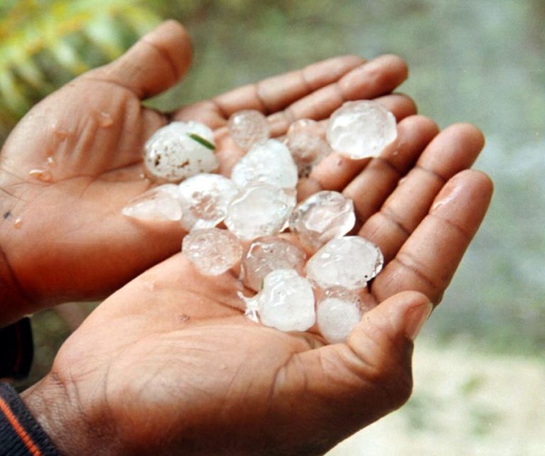 GRANIZO PROVOCOU ESTRAGOS EM VINHAS DE CARRAZEDO DE MONTENEGRO