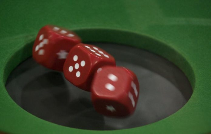 8403240.jpg