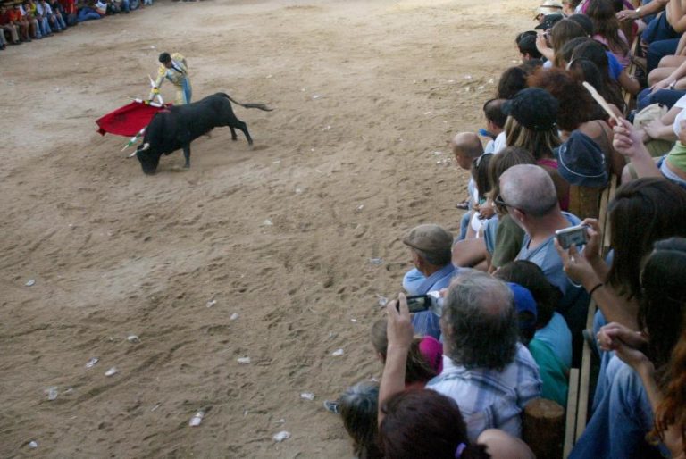 COVID-19: CANCELADAS FESTAS DE BARRANCOS DESTE ANO