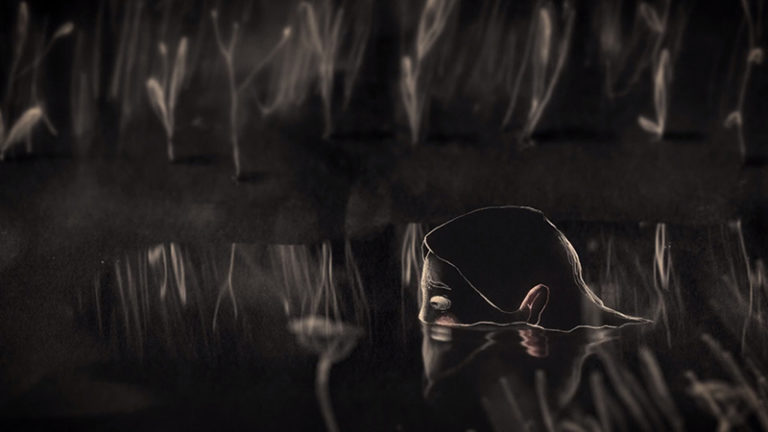 Foto: Agência da Curta Metragem