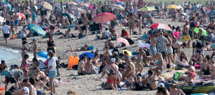 Foto: Angus Reid Institute