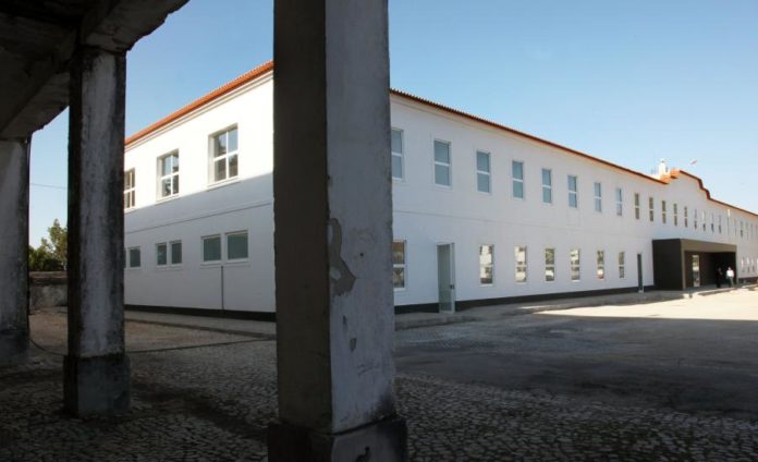 14058889.JPG