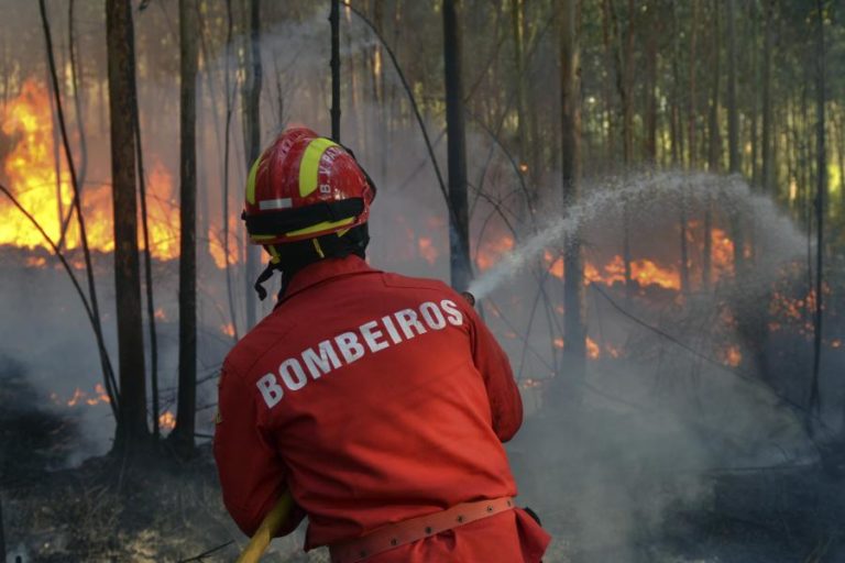 INCÊNDIOS: MAIS DE 50 CONCELHOS DE NOVE DISTRITOS DO CONTINENTE EM RISCO MÁXIMO