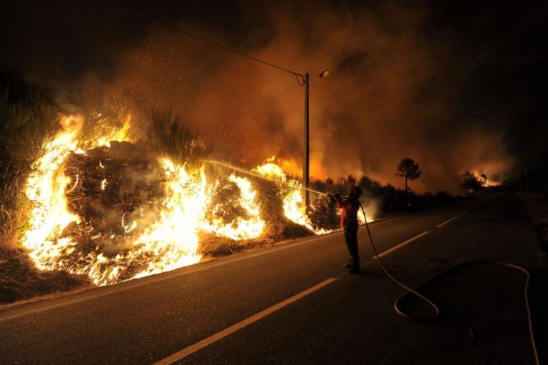 NOVE DISTRITOS EM ALERTA VERMELHO NO DOMINGO DEVIDO AO RISCO DE INCÊNDIO