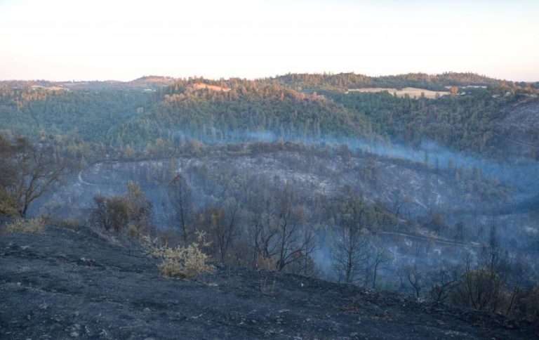 INCÊNDIOS: FOGO EM CAMINHA DOMINADO