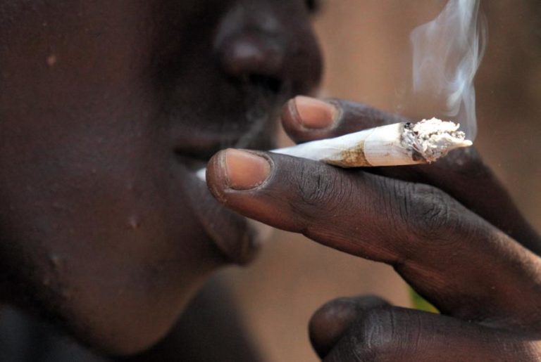 COVID-19: EMPRESA MOÇAMBICANA DEDICADA AO TABACO REDUZ PRODUÇÃO