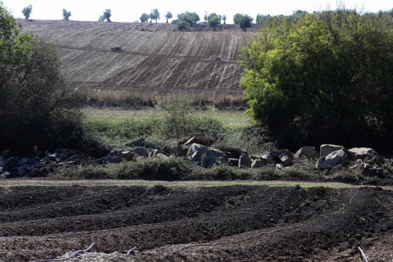 PROTEÇÃO CIVIL PÕE DISTRITOS DE BEJA E FARO EM ALERTA VERMELHO DEVIDO AO RISCO ELEVADO DE INCÊNDIOS RURAIS