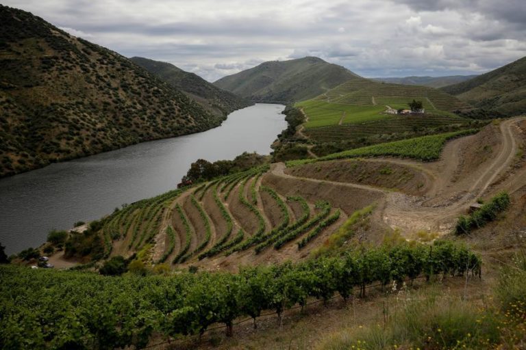 COVID-19: DOURO ESTÁ A CONTRATAR 4 ME DO PACOTE DE MEDIDAS PARA OS VINHOS – MINISTRA