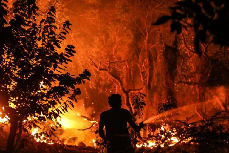 VINTE E OITO CONCELHOS DE OITO DISTRITOS EM RISCO MÁXIMO DE INCÊNDIO