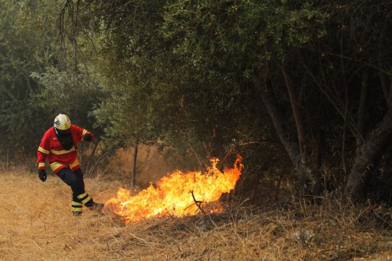 MAIS DE MEIA CENTENA DE CONCELHOS DE NOVE DISTRITOS EM RISCO MÁXIMO DE INCÊNDIO