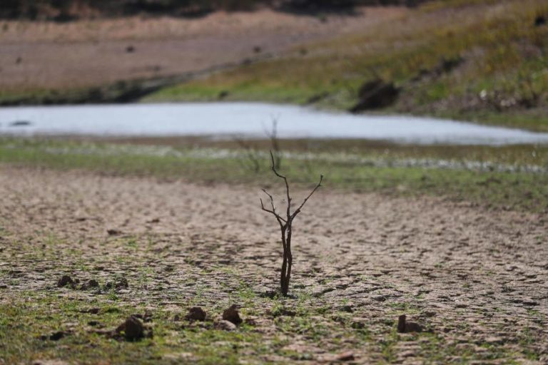 SECA MODERADA NO CONTINENTE EM AGOSTO, PONTUALMENTE SEVERA NO BAIXO ALENTEJO E ALGARVE